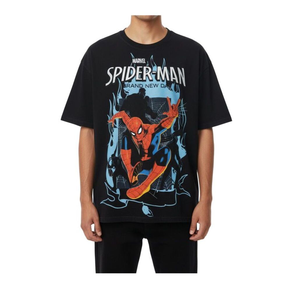 Ed Hardy Crew Neck T-Shirt Flame Web Washed Boxy Mens Grey EMSM1101-1